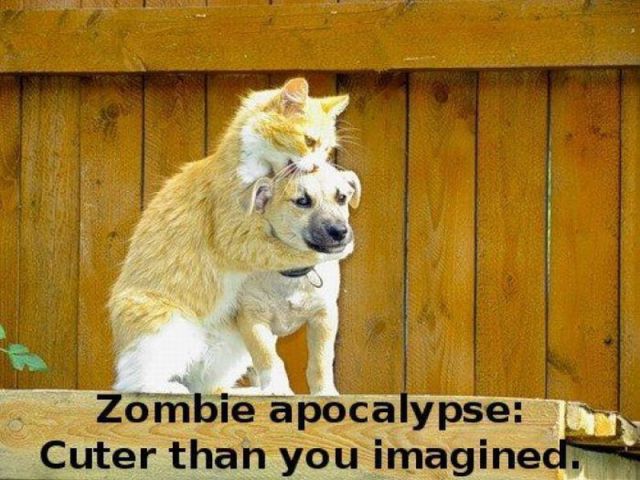 zomibe-apocalypse-cute