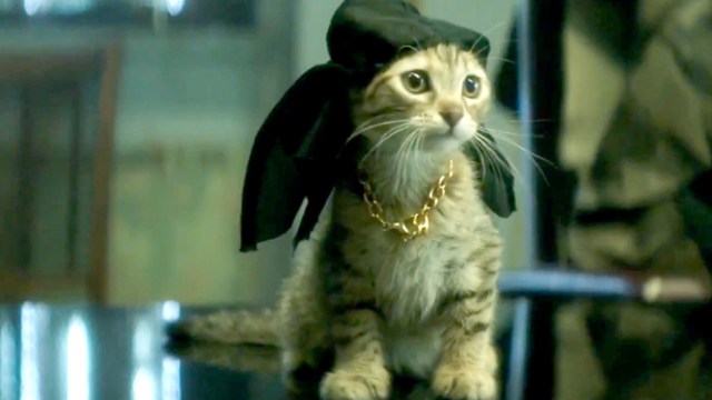 rehost%2f2016%2f9%2f14%2fbcdc7268-5591-4a15-a5fc-b8507bcfbb7f